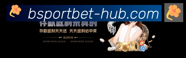B体育荣誉